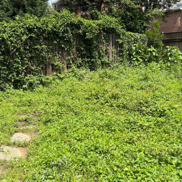 Before Photo with Heavily Overgrown Vegetation