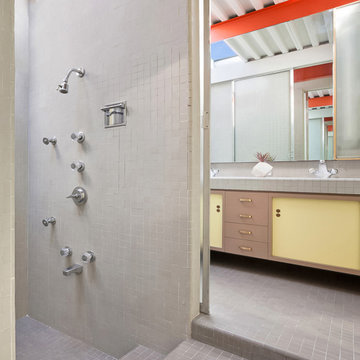 Eichler X-100 For Sale