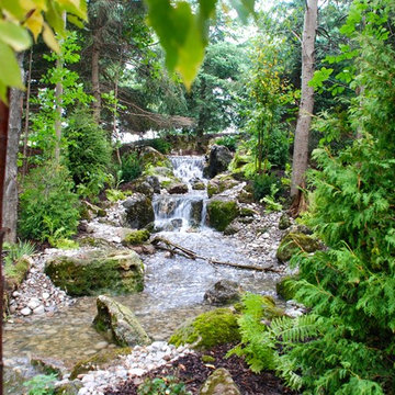 Woodland Falls