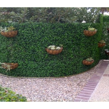 Artificial Hedge Products - Residential