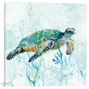Sea Turtle Swim I by Carol Robinson Canvas Print, 37"x37"x1.5"