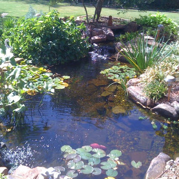 Ecosystem Ponds and Water Gardens in Edmond, OK By Continental Ponds