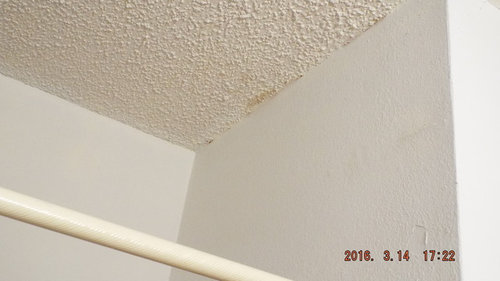 What Are These Stains On My Bathroom Ceiling Also Brown