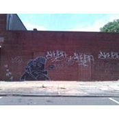 Joe Newark's photo