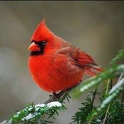 Joanne McFarlane's photo