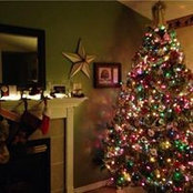 Tami Allen's photo