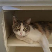 Tammy Clem's photo