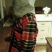 Alessandra Scarcelle's photo