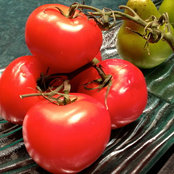 foody1s foto