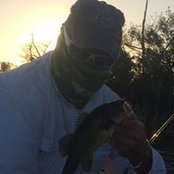 Thomas Frew's photo