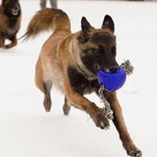 Wendie Schneider's photo