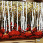 Esther Glickman's photo