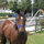Kelly Snaim