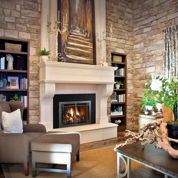 Design Ideas Featuring Mendota Hearth