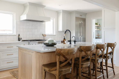 Kitchen - transitional kitchen idea in Dallas