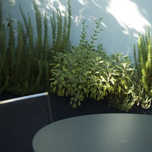 dining terrace