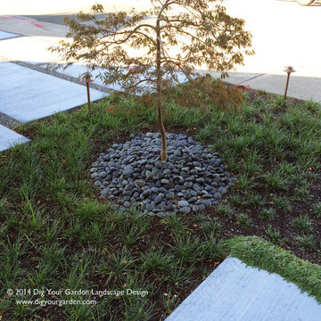 Modern Water-Side Landscape Remodel - Front, Bel Marin Keys, Novato, CA
