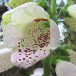 Planting - Garden Products