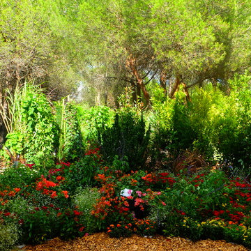 Jardin éphémère SERPENTIN