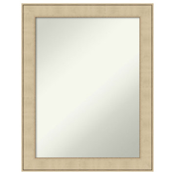 Classic Honey Silver Non-Beveled Wall Mirror - 22 x 28 in.