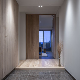 Diseño de hall machihembrado, machihembrado y blanco, moderno, de tamaño medio, machihembrado, con suelo de granito, puerta simple, puerta blanca, suelo gris y machihembrado