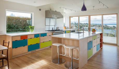 Midcentury Kitchen Seen in a New Light