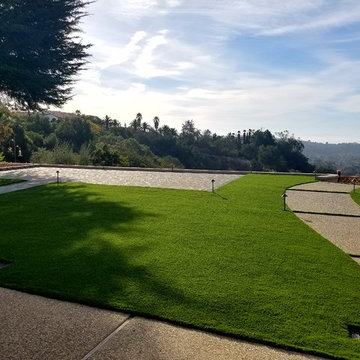 Artificial Grass
