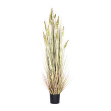 Fake Plants