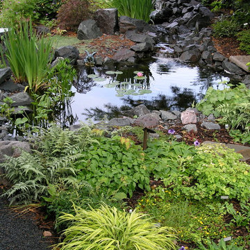Suburban Side and Backyard Wonderland!