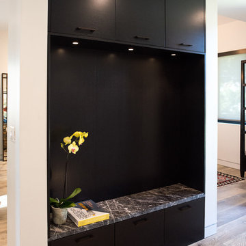 Santa Monica Modern