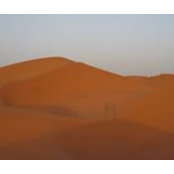 Catherine Rioux's photo