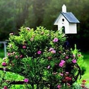 Kelly Halstead's photo