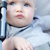 Tracy Brauer's photo