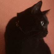 Susn Padme's photo