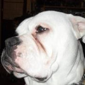 Toni Dotson's photo