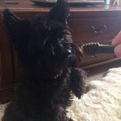 Fiona Liddell's photo