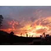 Jean Degl's photo