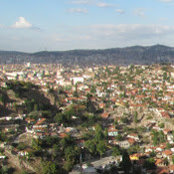 Maral N's photo