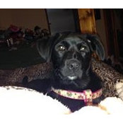 Cindy Heisey's photo