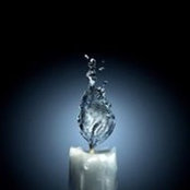 Sundus Madi-McCarthy's photo