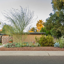 Frontyard