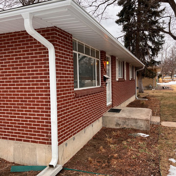 White LeafGuard Red Brick