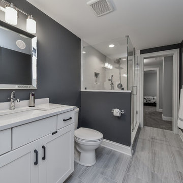 Basement Remodel