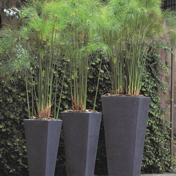 Bowery Plante Large Planters for Trees and Tall Plants