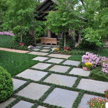 Back Yard Ideas