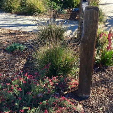 Lawn replacement