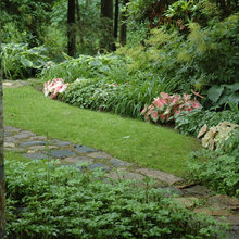 Plant Combination