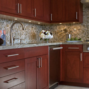 Modern Kitchen Cabinet Colors Houzz