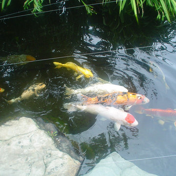 Ponds