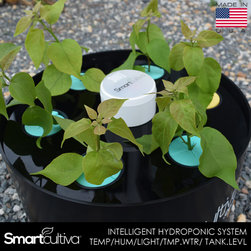 HYDROPONIC INTELLIGENT SYSTEM PLANTER - IOT - Products
